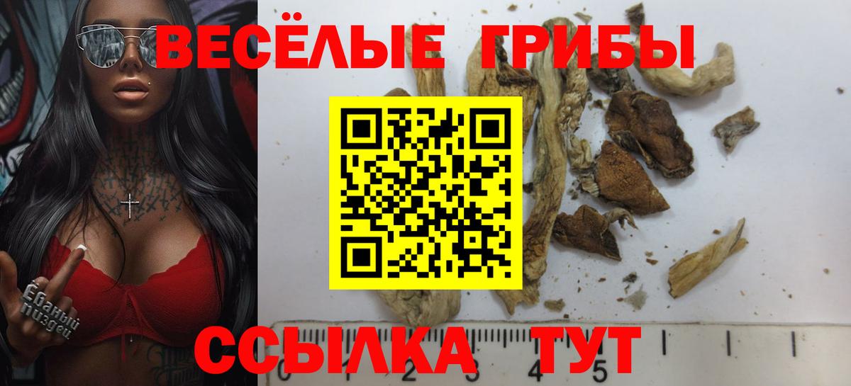 Псилоцибиновые грибы Cubensis Ирбит
